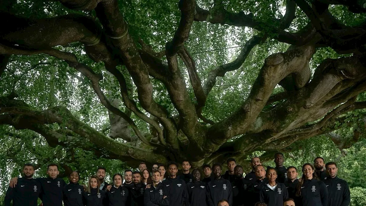 I Rifugiati alle Olimpiadi: chi sono gli atleti della squadra in gara a Parigi. Le storie