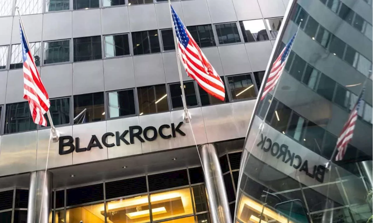 BlackRock Solana ETF Not Happening Anytime Soon, CIO Confirms