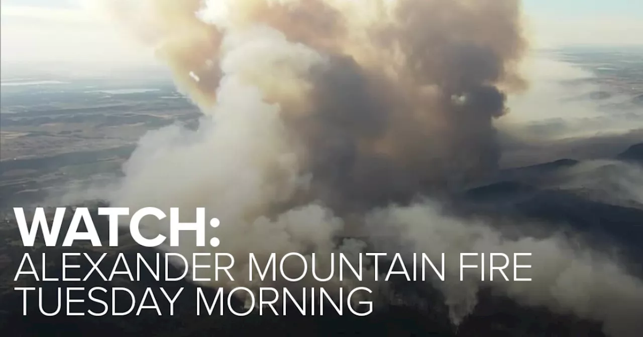 Video: Aerial look at Larimer County's Alexander Mountain Fire on Tuesday morning