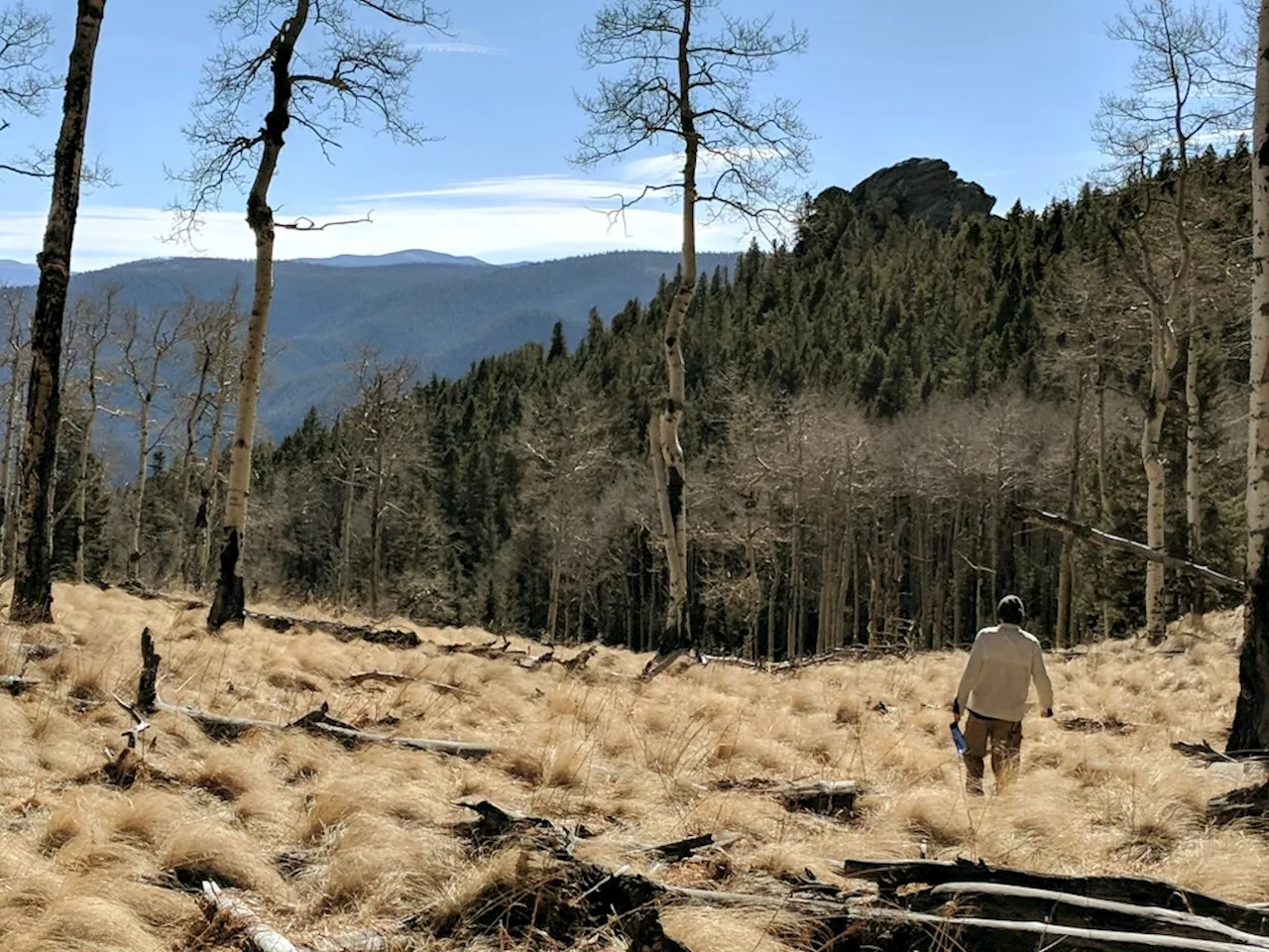 Discover Colorado’s underrated Wet Mountains with this exploration guide