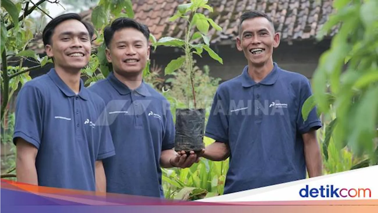 Pertamina Tanam 6 Juta Pohon di Lahan Seluas 629 Hektare