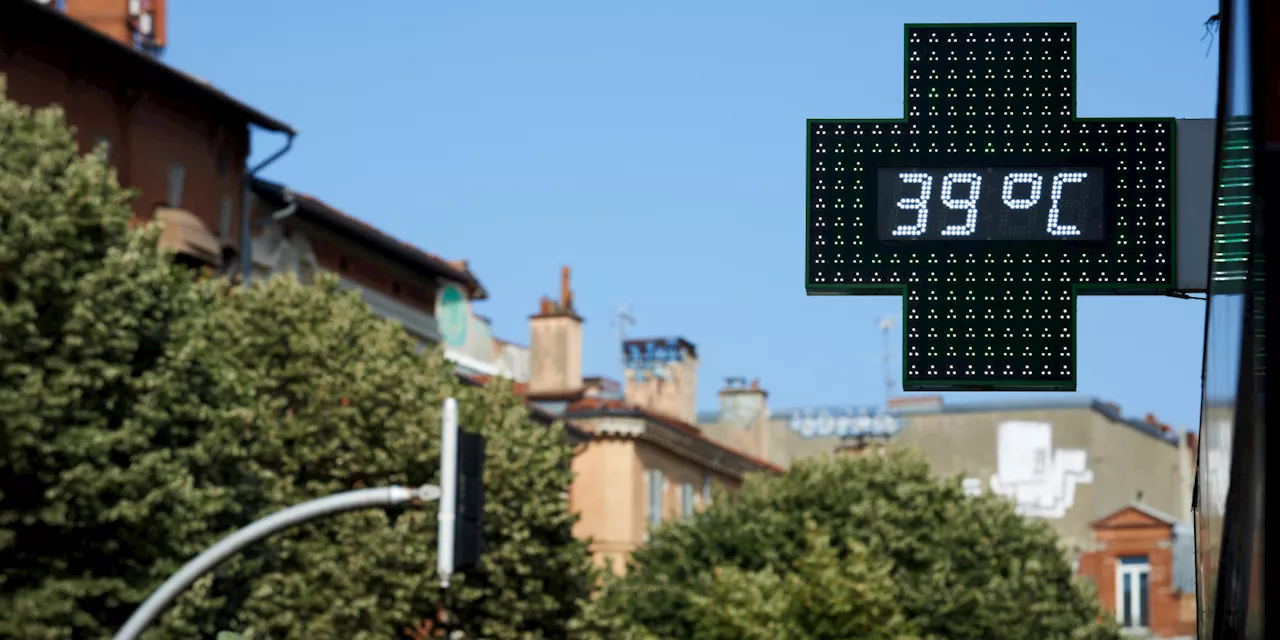 «On souffre» : à Toulouse, les habitants fuient les terrasses des restaurants pour les bancs des piscines