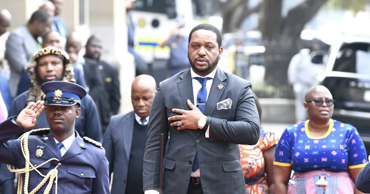 Zulu king calls for urgent action against growing gun violence in KZN