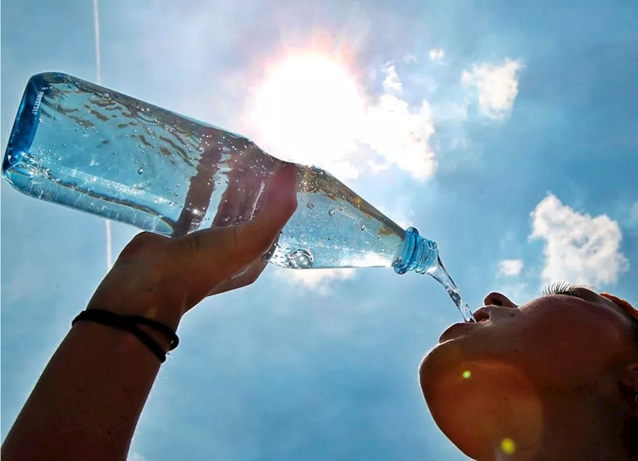 Wasser trinken: Wie viel ist gesund und wie viel ist zu viel?