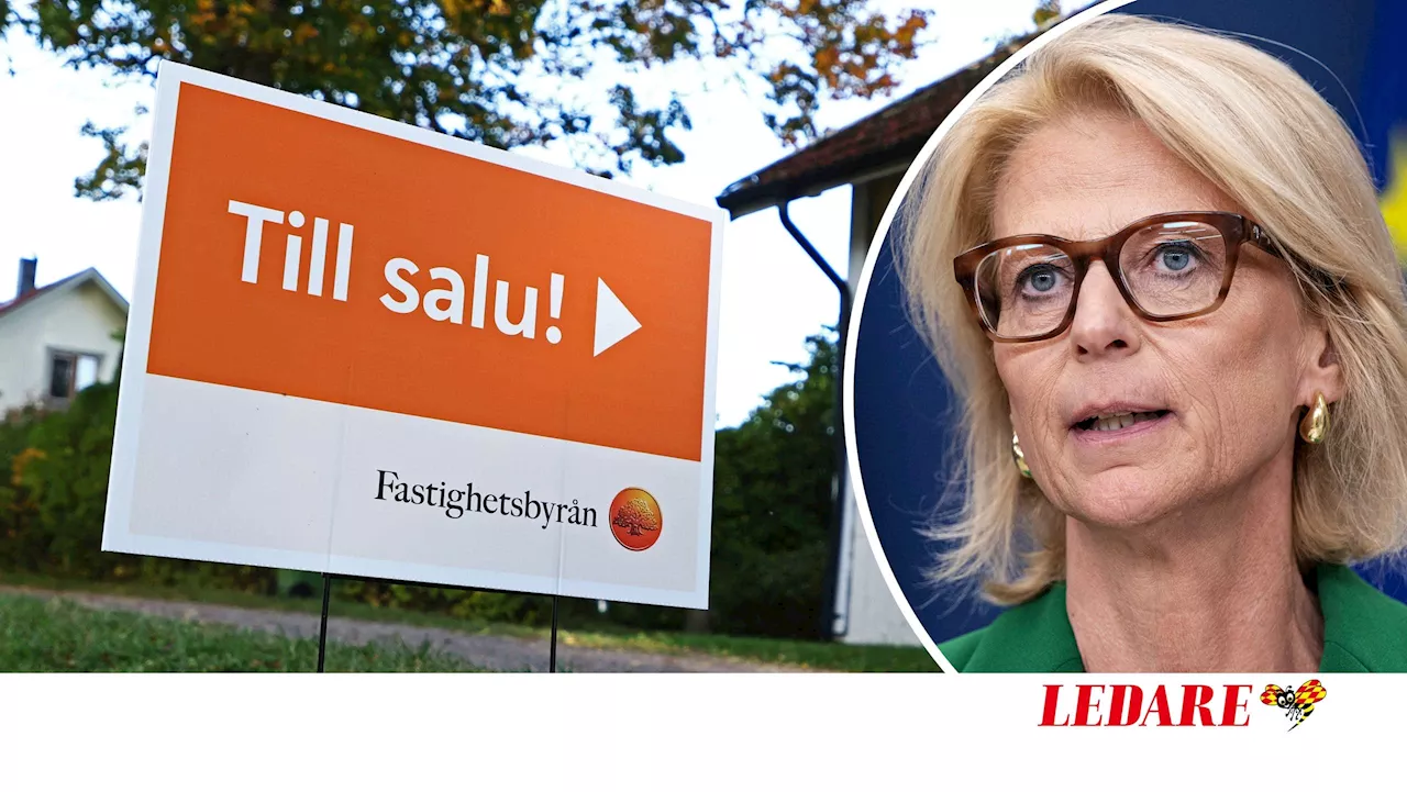 Regeringens förslag kan gynna gängen