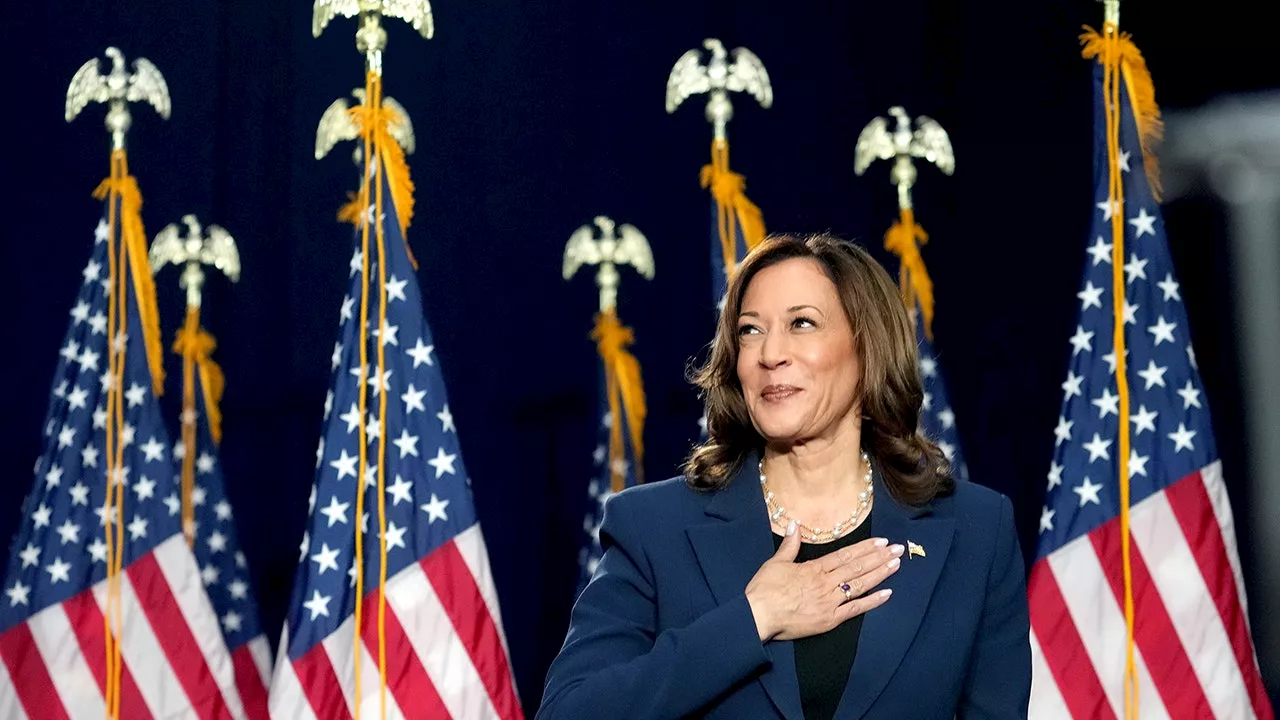 VP Kamala Harris could name one of these 5 Democrats as her running mate