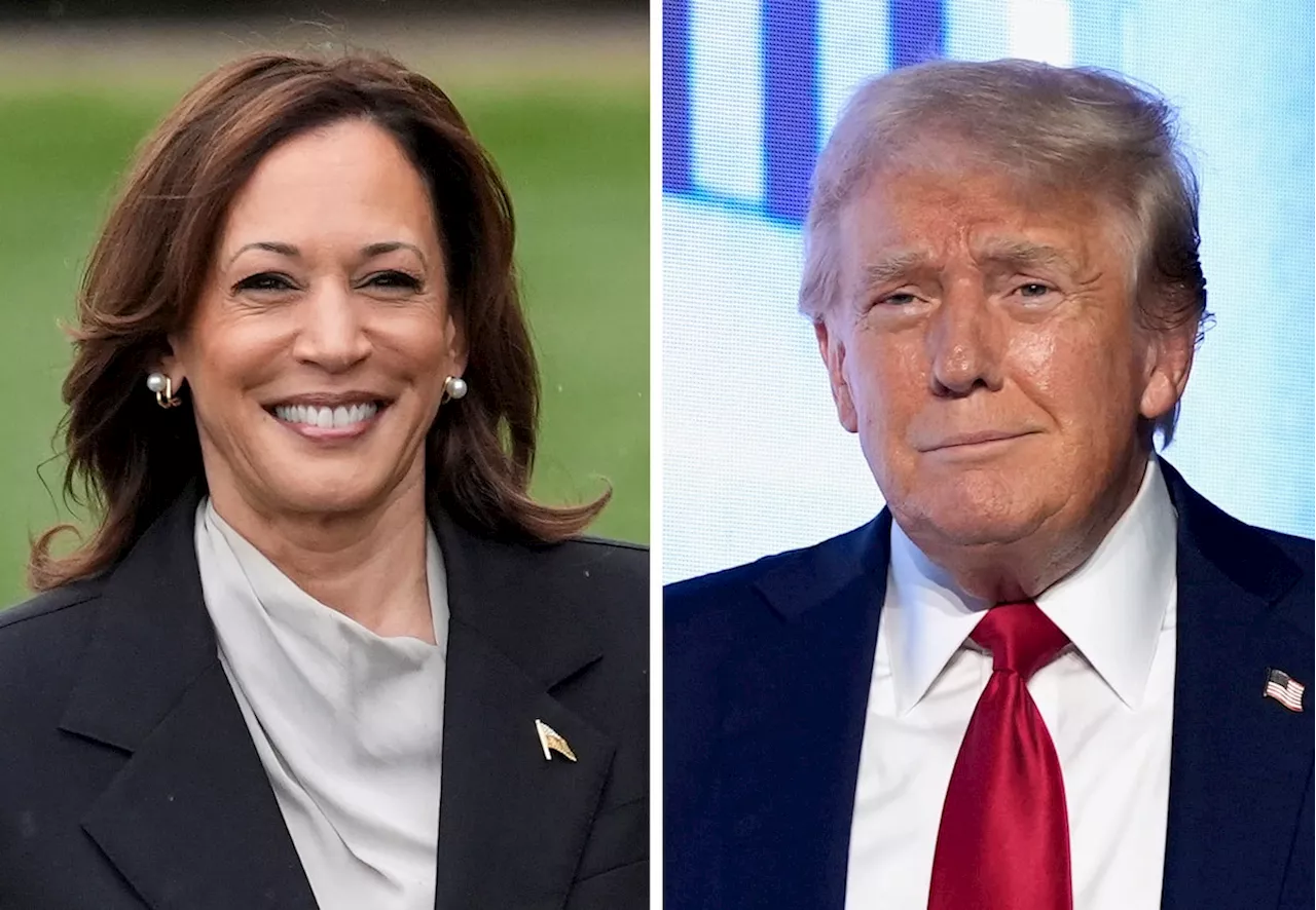 On economic policy, Harris and Trump are closer than either can admit