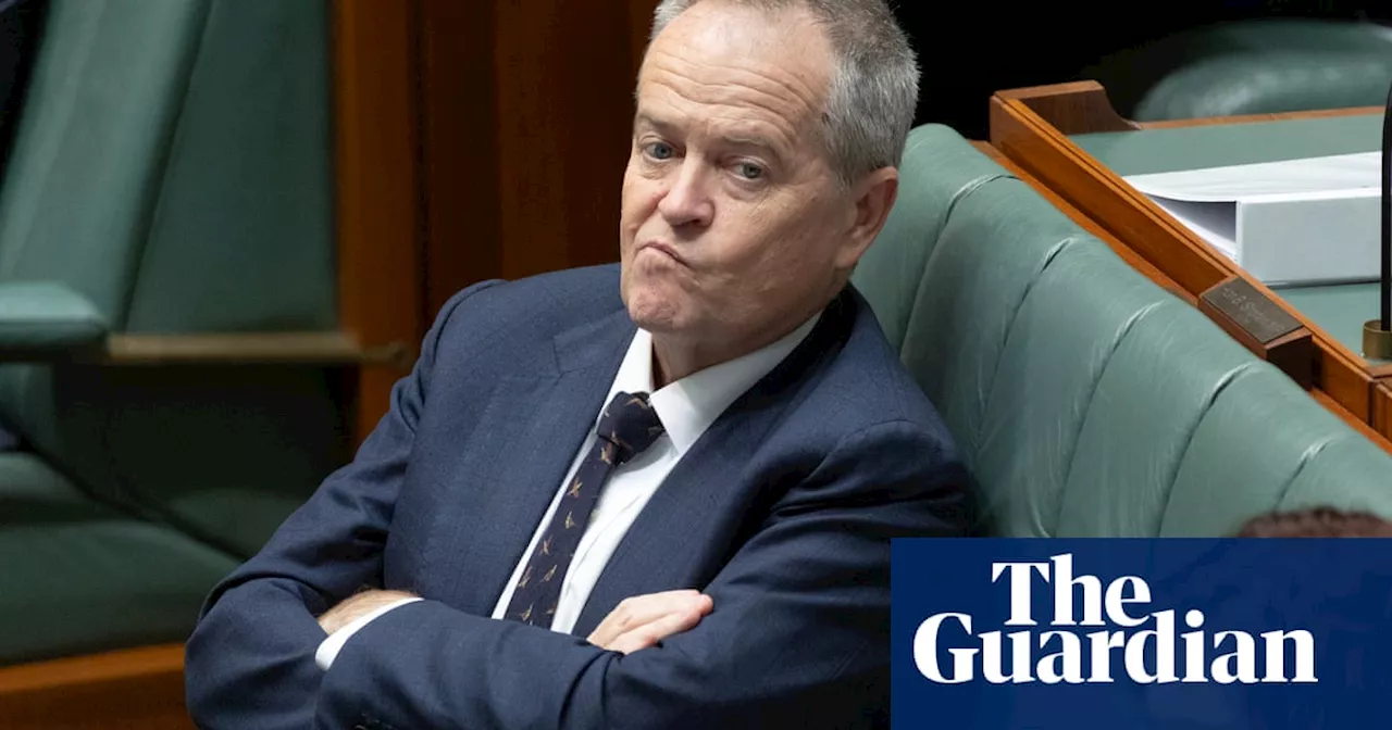 Concerns NDIS changes will create robodebt 2.0 are ‘complete rubbish’, Bill Shorten says