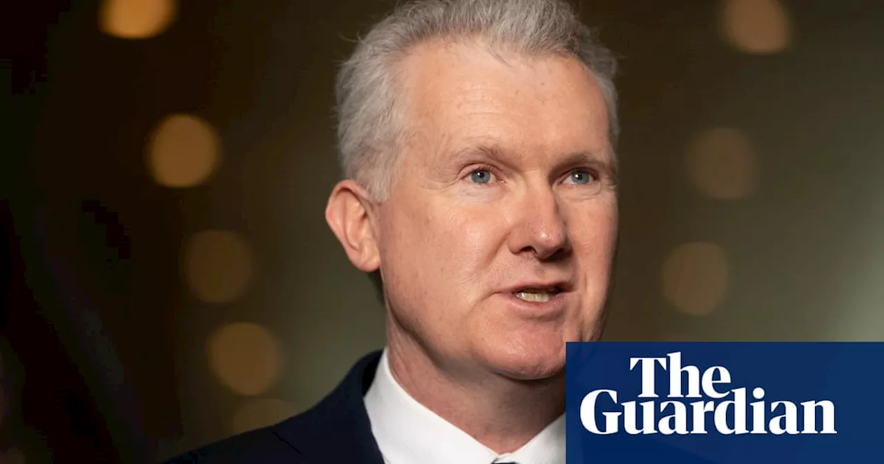 Tony Burke blasts ‘idiotic’ suggestion he would weaken security checks for Palestinians