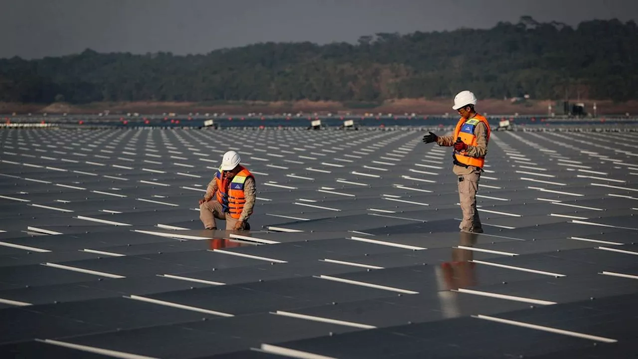 Daerah Belum Memiliki Perencanaan Khusus Terkait Investasi Hijau