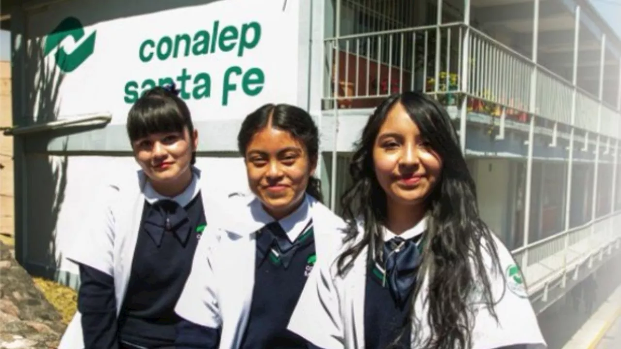 Regreso a clases SEP: ya hay fecha para el primer puente del ciclo escolar 2024-2025