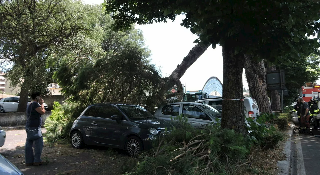 Genzano, grosso ramo di un pino si abbatte su auto in sosta: ferito un bambino