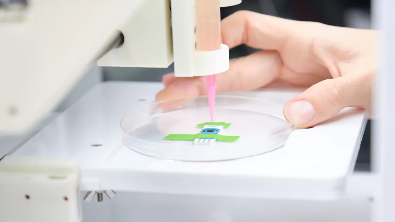 Scientists create bioink from egg whites to 3D print complex tissues