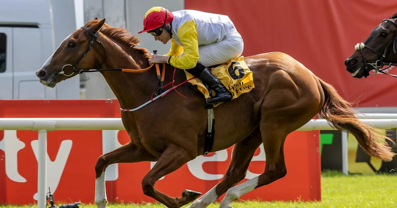 Galway Races day 2 tips: Robbie Power's selections for Tuesday at Ballybrit