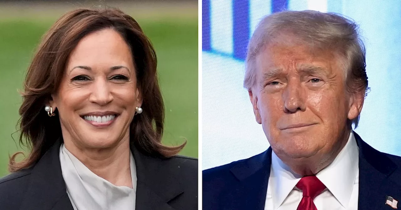 Kamala Harris and Donald Trump campaigns launch rival TV ads in US swing states