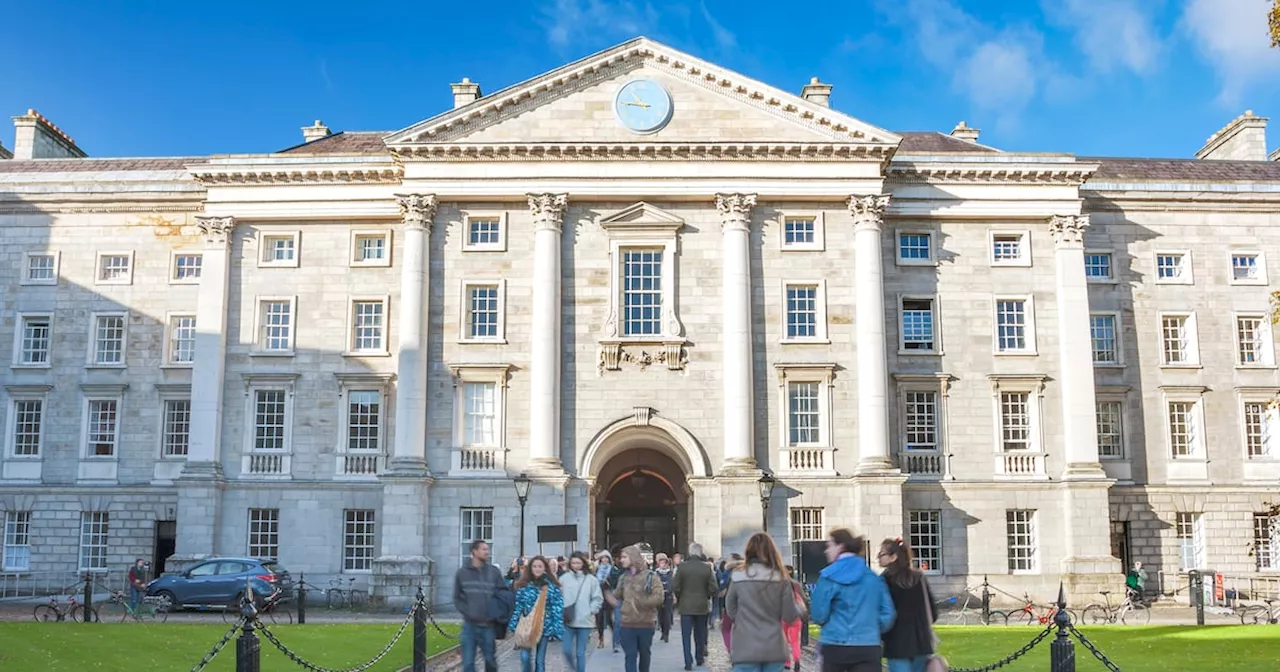 Trinity lecturer claims ‘double’ teaching load left him with ‘severe burnout’