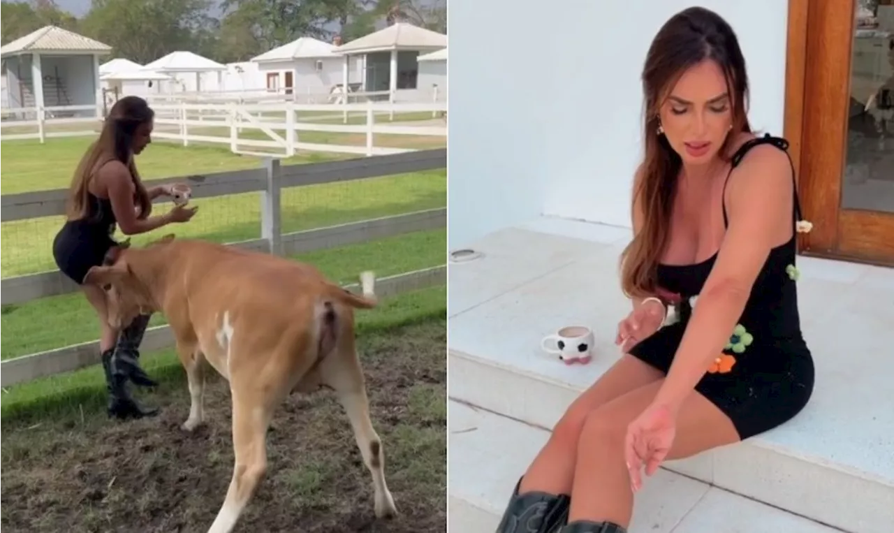 Nicole Bahls leva cabeçada de sua vaca Ana Castela e mostra machucados: 'Está muito atentada'