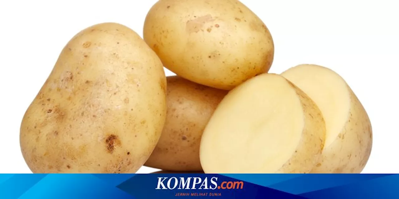 Cara Simpan Kentang agar Tidak Cepat Busuk