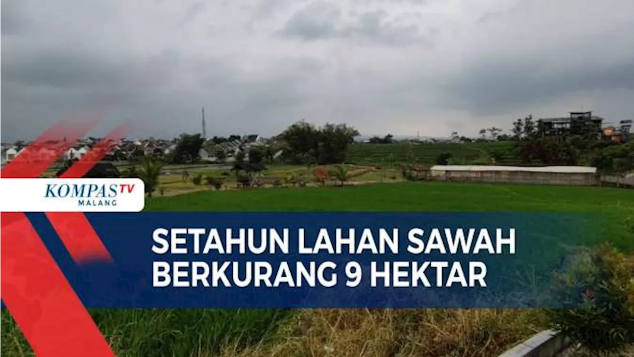 Lahan Sawah di Kota Malang Terus Menyusut