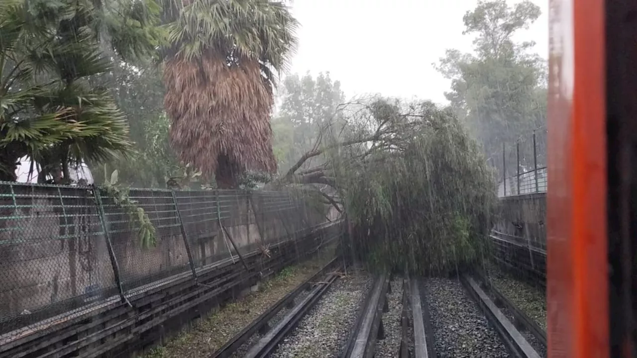 Árbol cae a vías y deja sin servicio a tres estaciones de Línea 5 del Metro CDMX