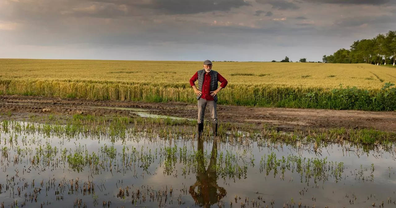 Intempéries en Loire-Atlantique : les agriculteurs pénalisés pourront être indemnisés