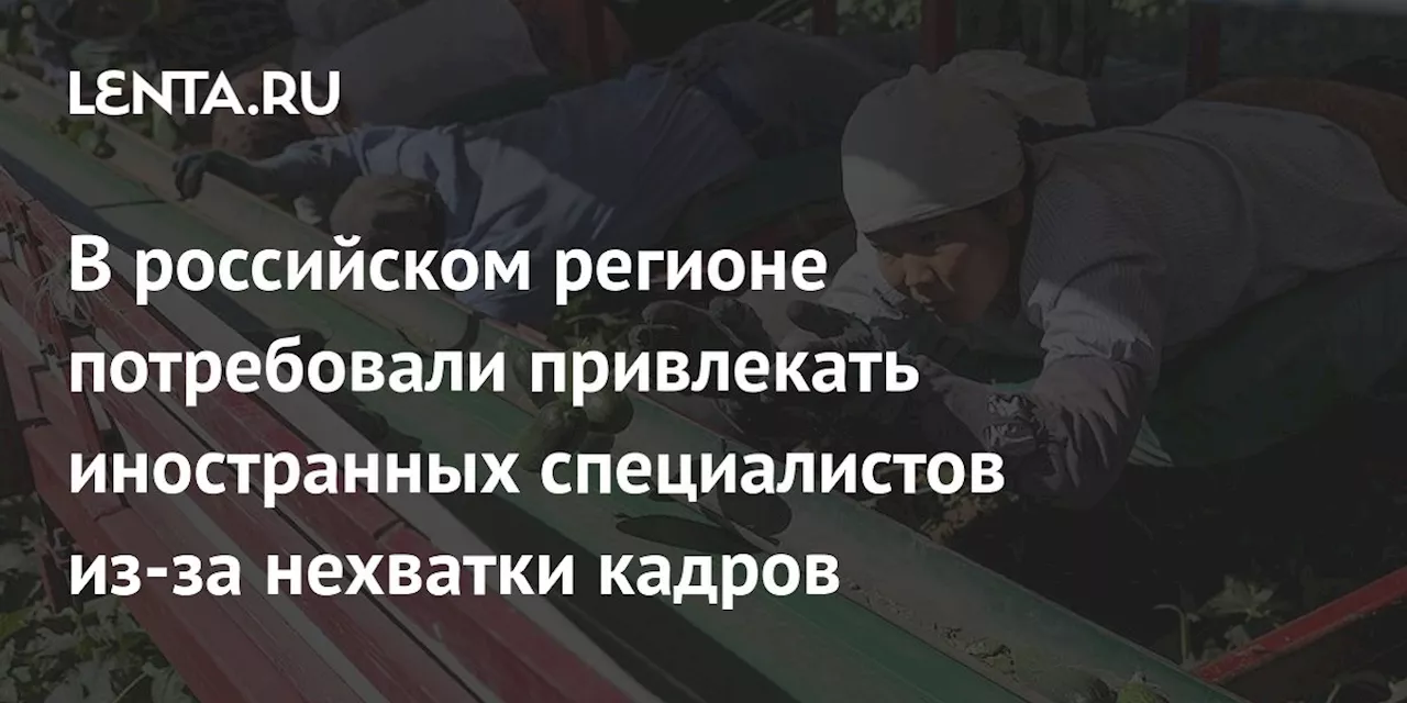 В российском регионе потребовали привлекать иностранных специалистов из-за нехватки кадров