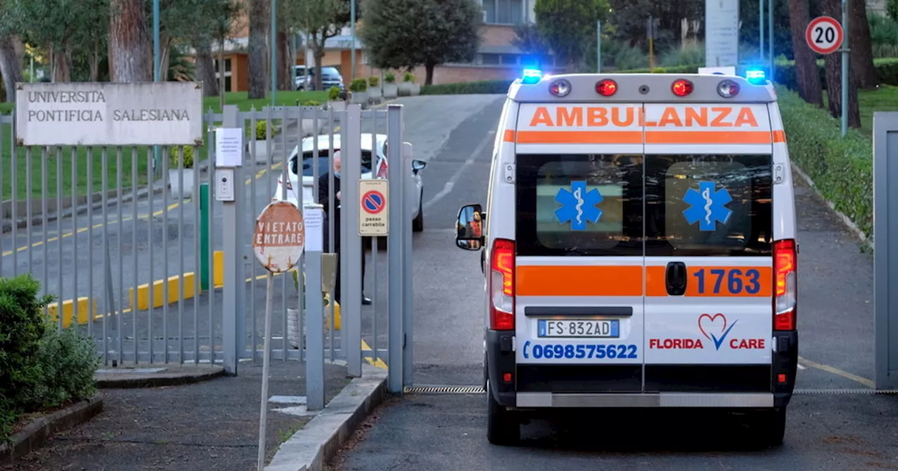 Vipere, vespe e ragni: veleno e crepacuore, gli insetti che ti mandano in ospedale