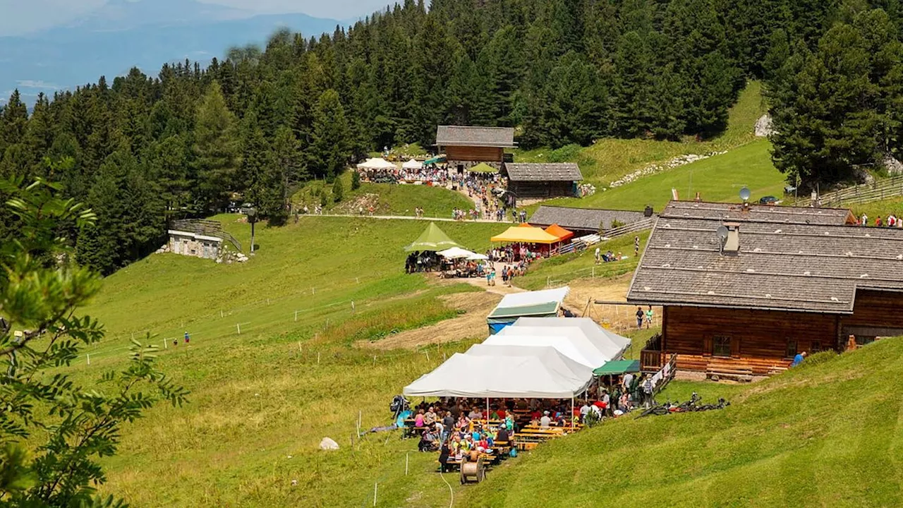 Sagre gastronomiche: un weekend di sapori italiani