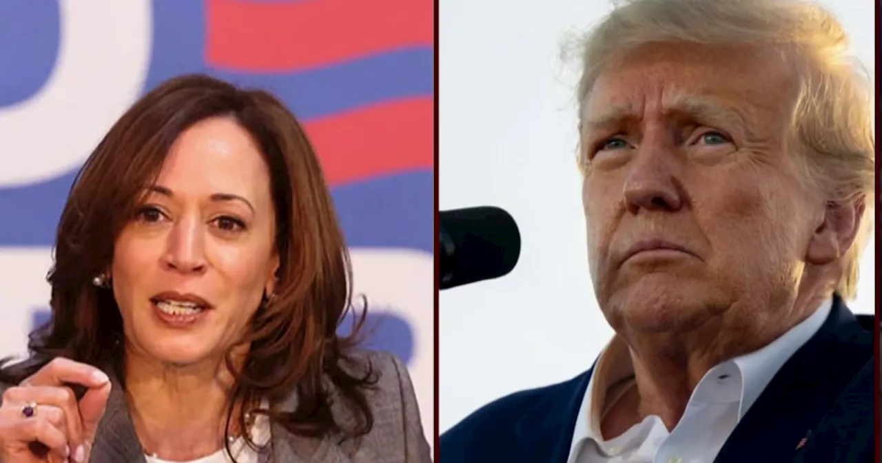 Republican mayor supporting Harris over Trump for president