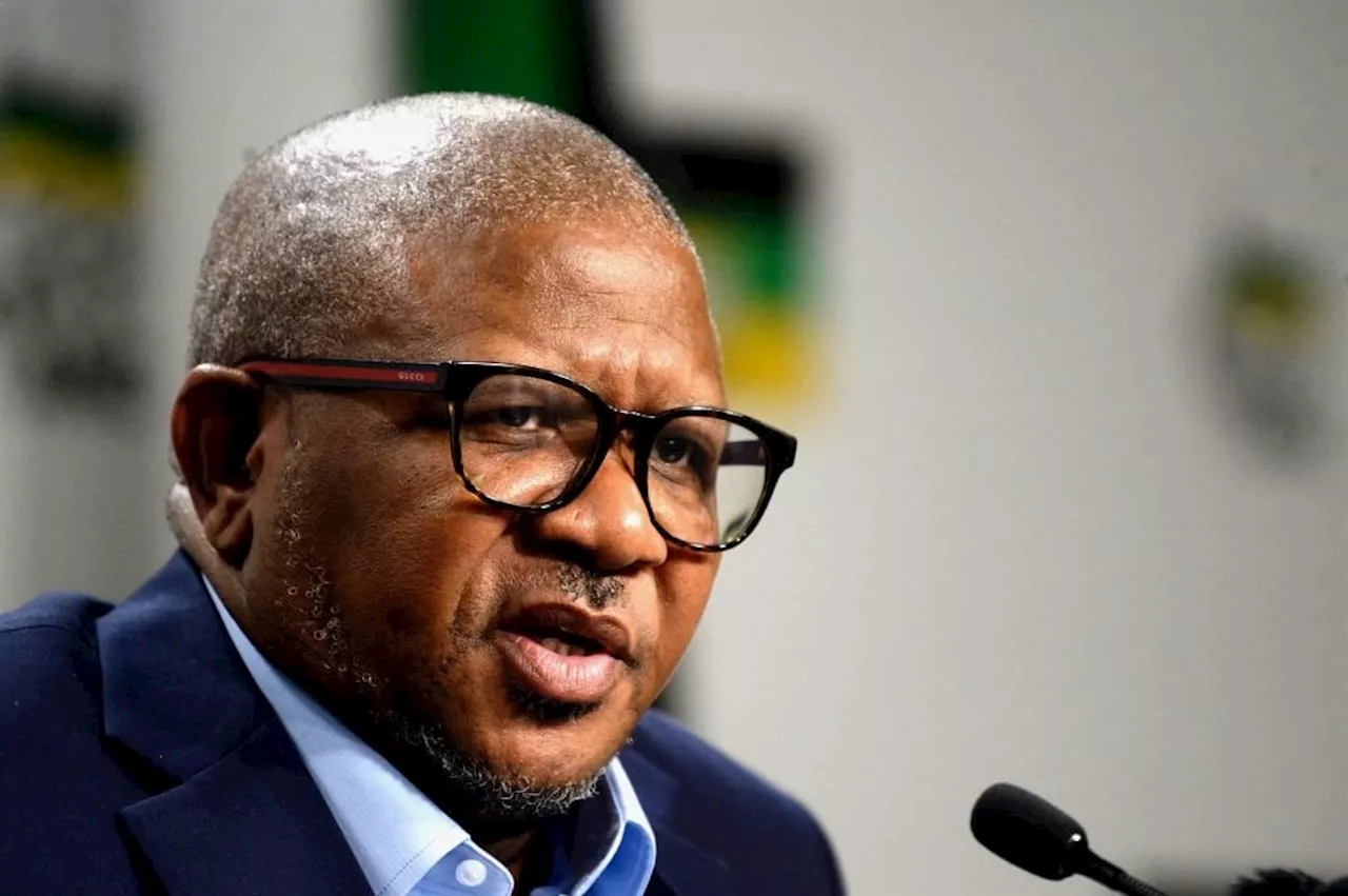  Zuma mobilised using a 'dangerous platform', appealing to 'extremist instincts', says Mbalula