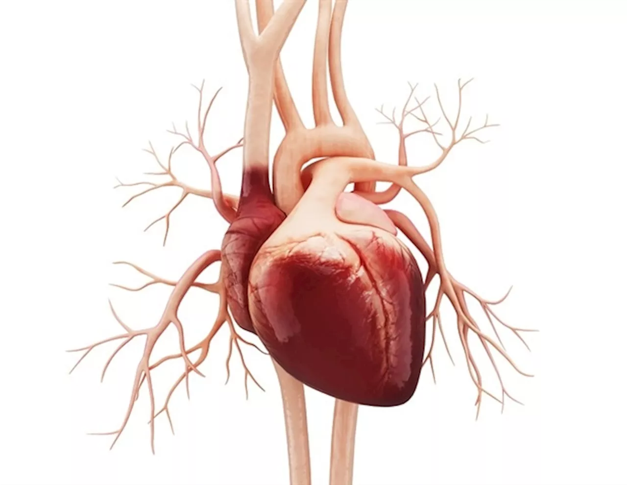 New scoring system enhances identification of HFpEF patients