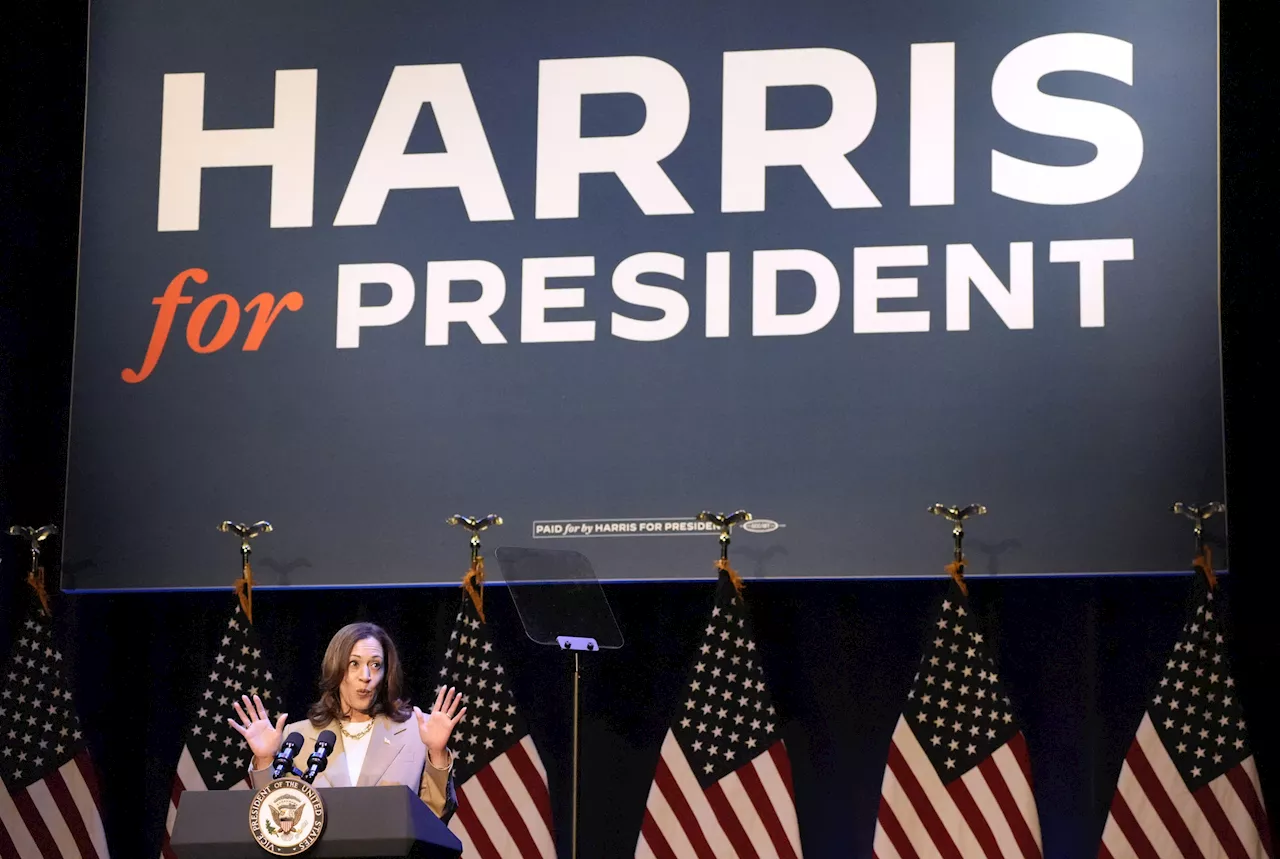 Kamala Harris Makes Democratic Victory More Likely, Americans Say