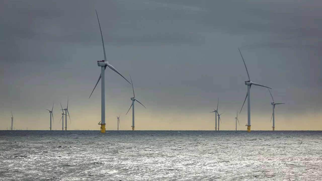 Voor het eerst in EU meer stroom uit zon en wind dan uit fossiele brandstoffen