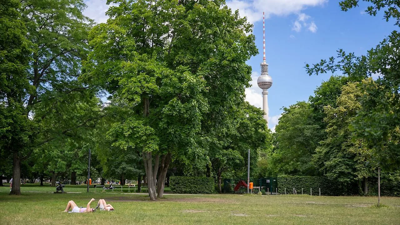 Berlin & Brandenburg: Berlin beim Hitze-Check der Umwelthilfe vor Hamburg