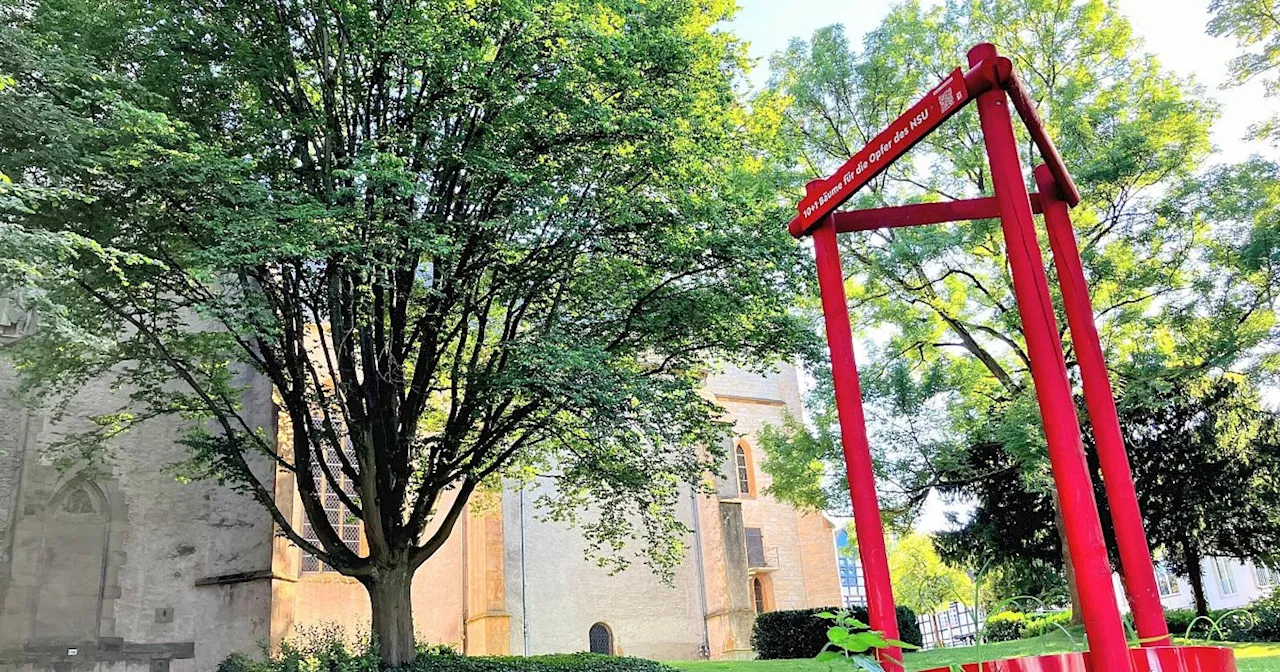 Bielefelder Baum zum Gedenken an die NSU-Morde plötzlich verschwunden