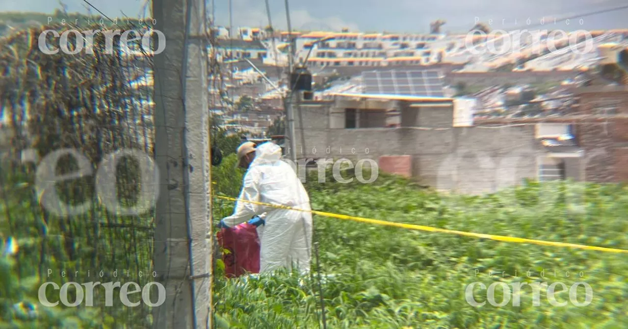 Descubren un cuerpo en la colonia Valle de San Pedro de León