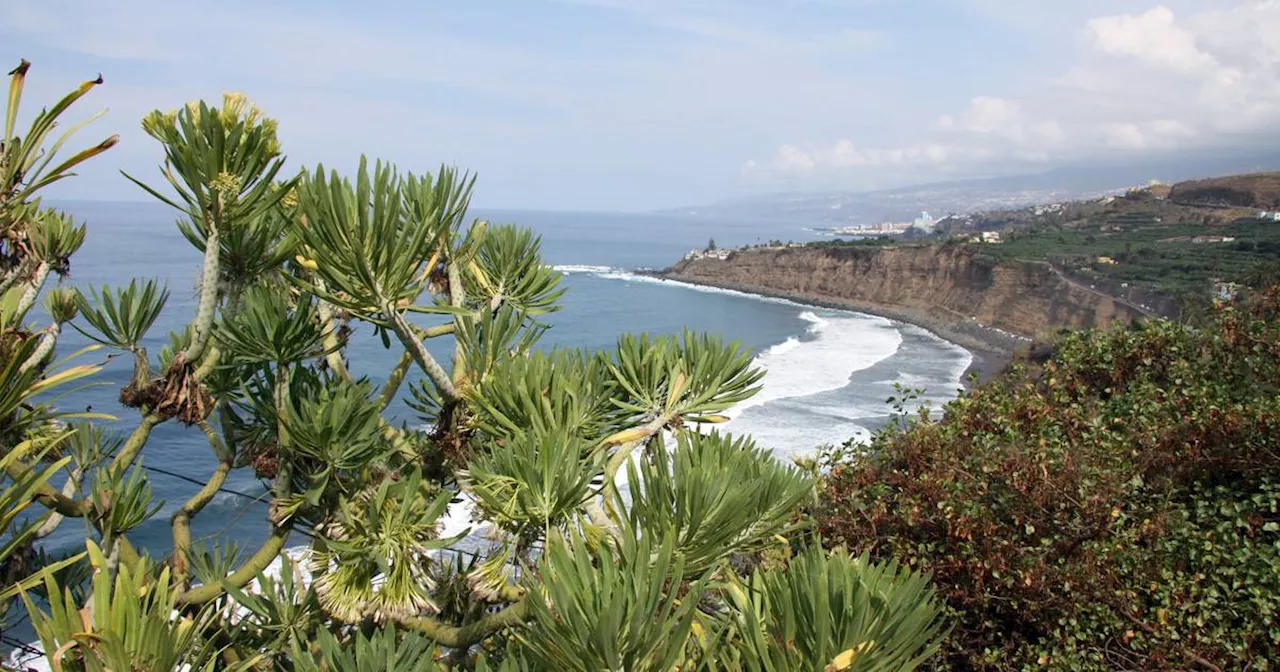 Teneriffa: Badeverbot an einigen Stränden wegen Fäkalien im Meer