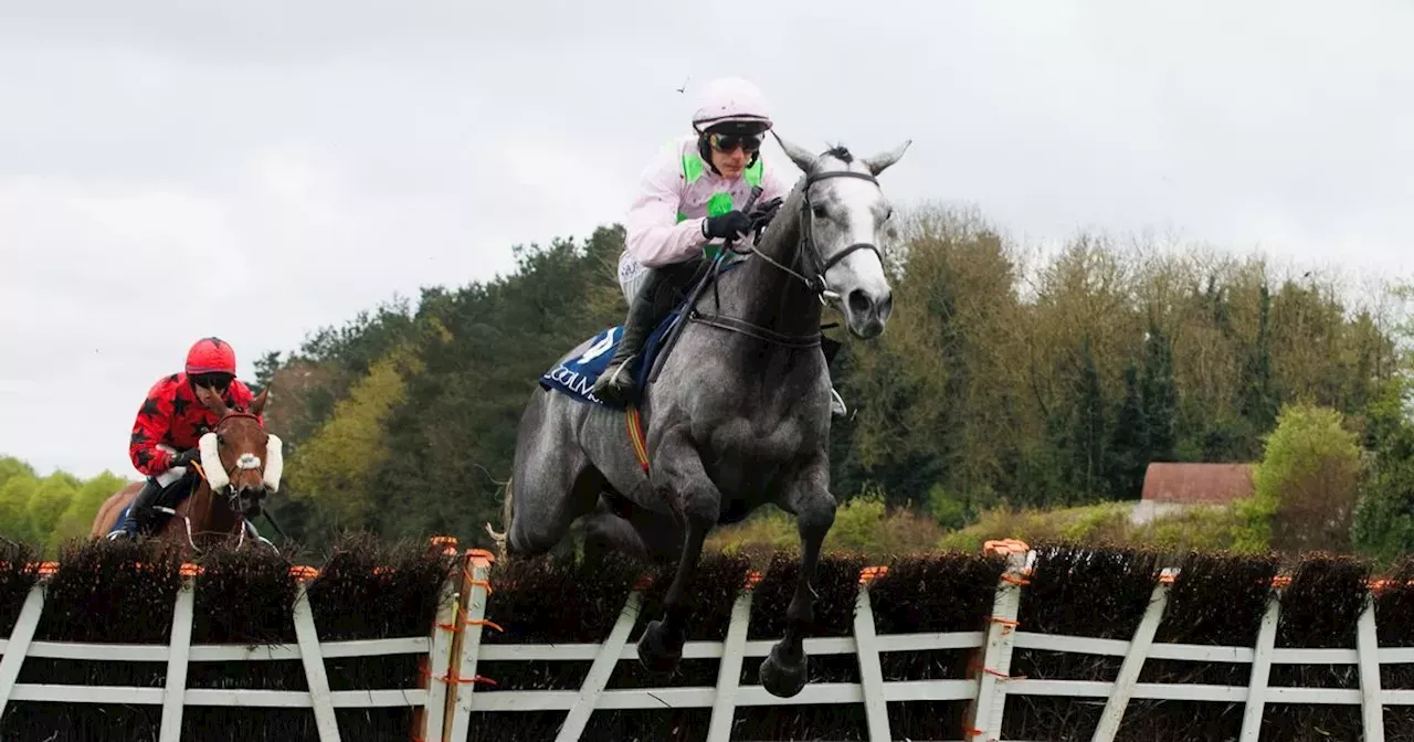 Galway Races: Tips for horses as jockey Paul Townend gears up for two big races