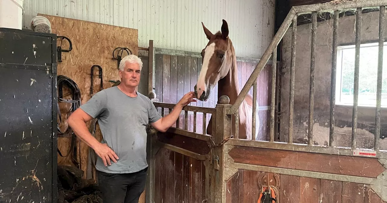 Amadeus rijdt voor het laatst in Norg: 'Zo'n paard krijg je één keer in je leven'