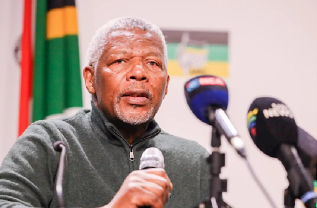 ANC negligent for allowing MK Party's registration, says Msimang - SABC News - Breaking news, special reports, world, business, sport coverage of all South African current events. Africa's news leader.