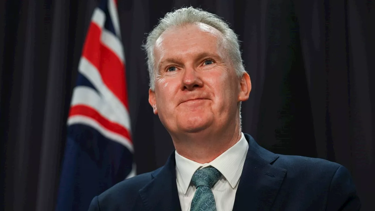 Burke hits back at ‘idiotic’ claim he can’t be trusted to oversee immigration checks