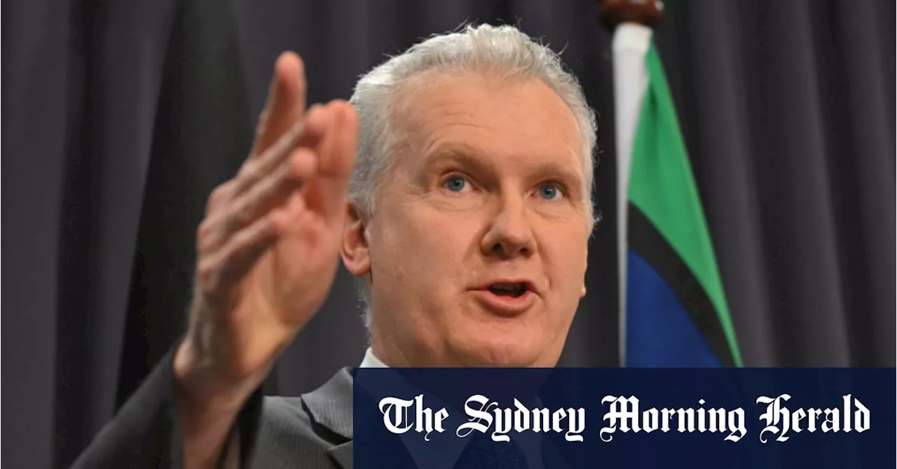 Burke dismisses as ‘idiotic’ opposition claims he would be soft on Palestinian refugees