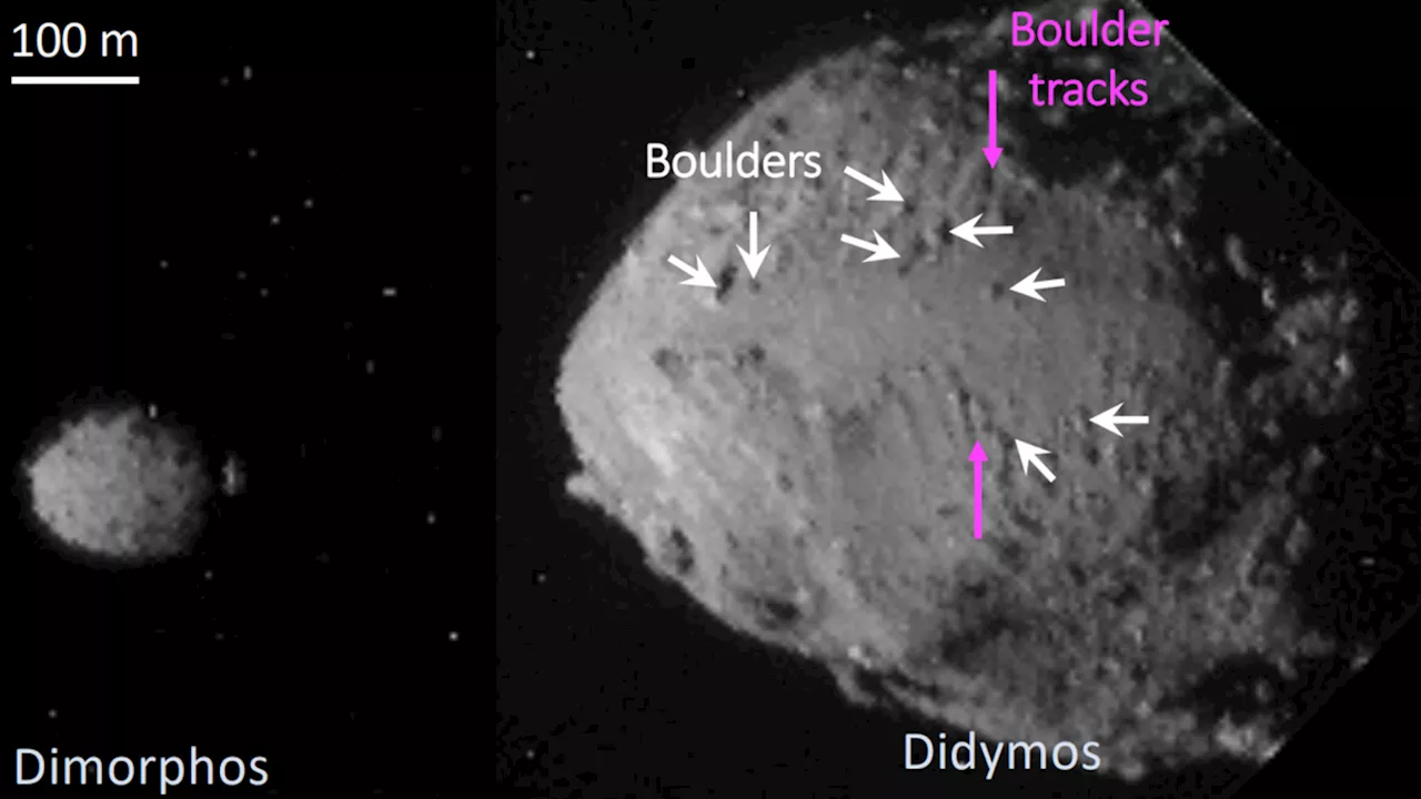 NASA's DART asteroid impact mission revealed ages of twin space rock targets (images)