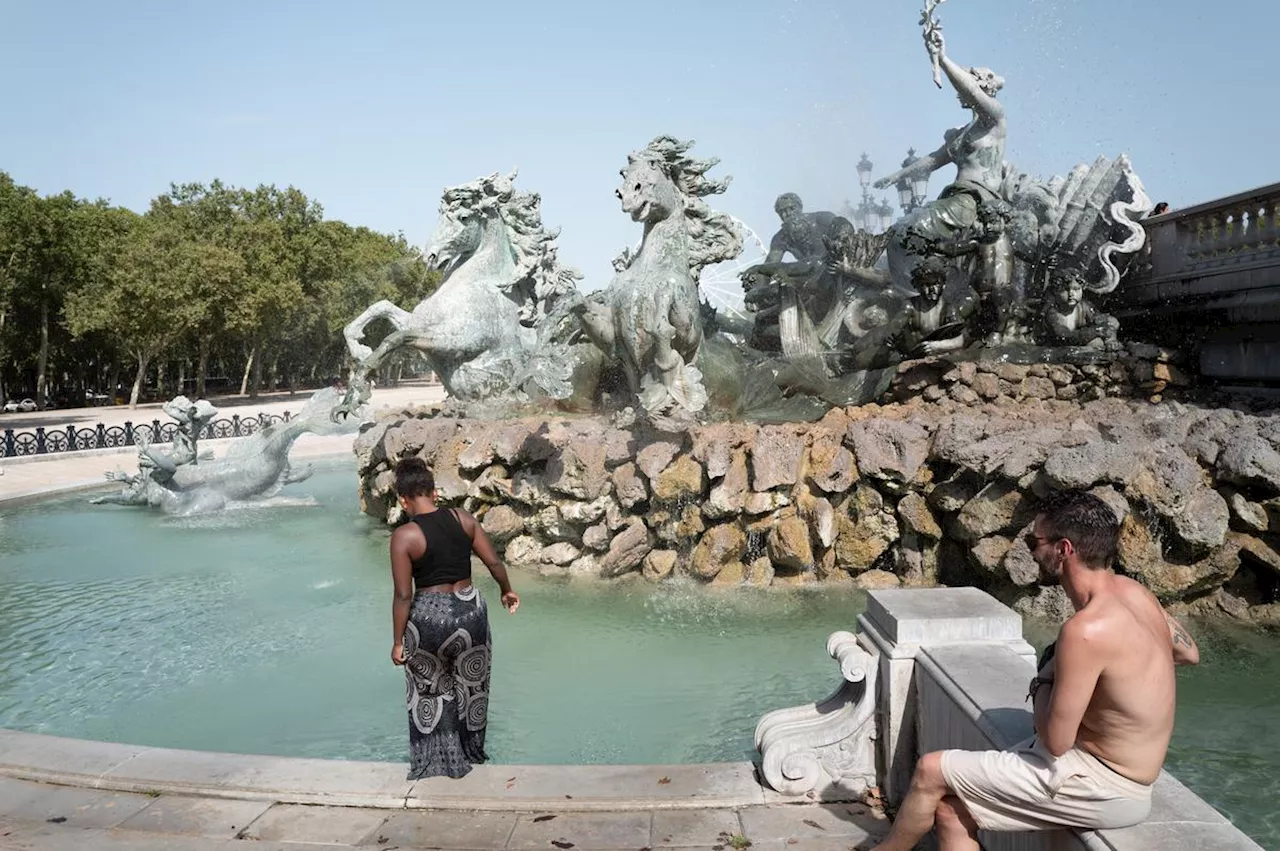 Canicule : plus fréquentes et plus intenses, retour sur les dernières vagues de chaleur en France