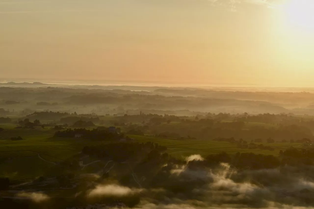 Gironde : sur la terre ou dans les airs, découvrez cet été le vignoble autrement