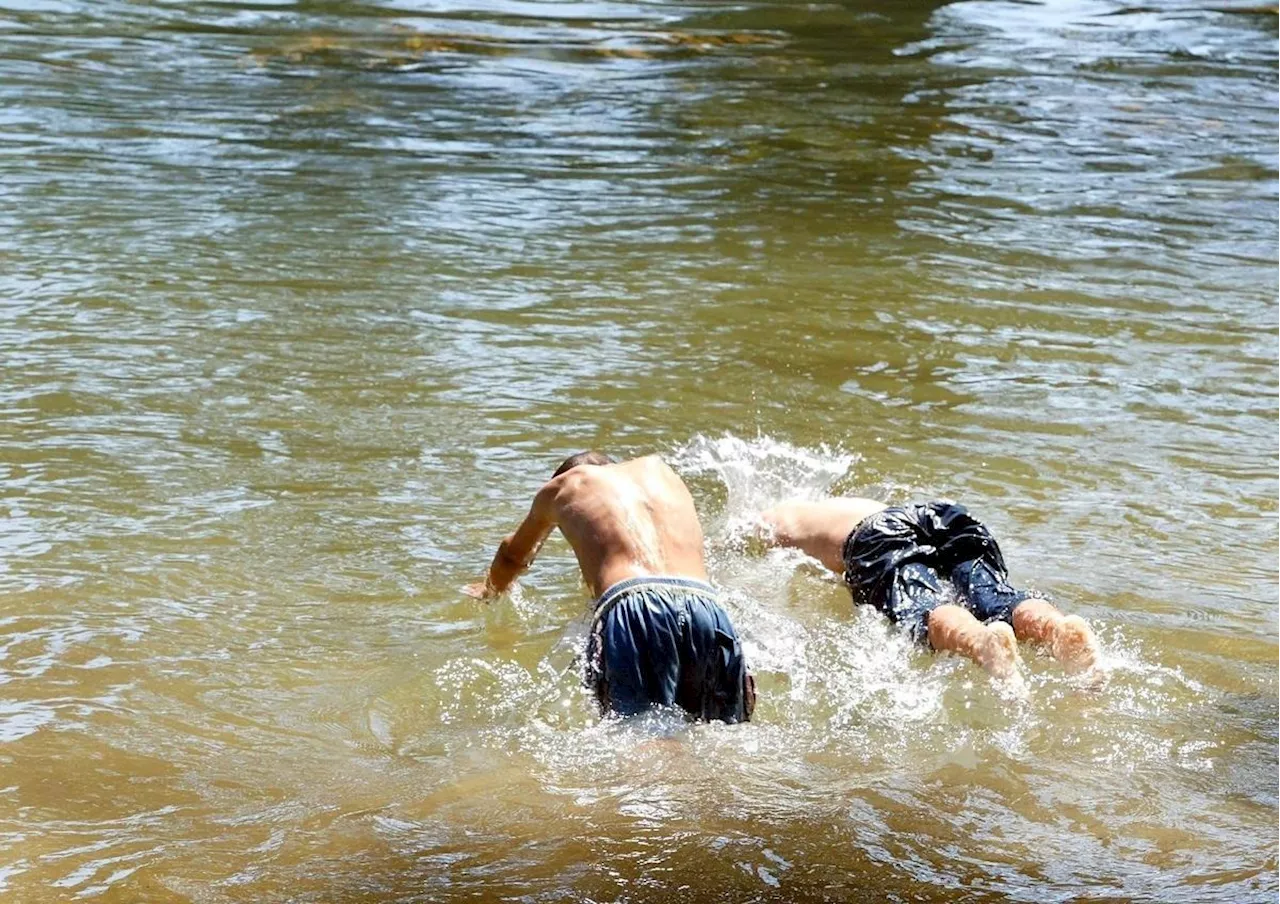 La baignade dans la rivière sur cette plage de Dordogne de nouveau autorisée