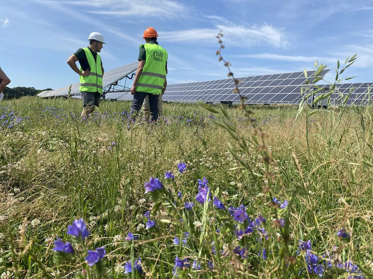 Photovoltaïque : « Ça augmente vite en Nouvelle-Aquitaine, mais encore plus vite en Lot-et-Garonne »