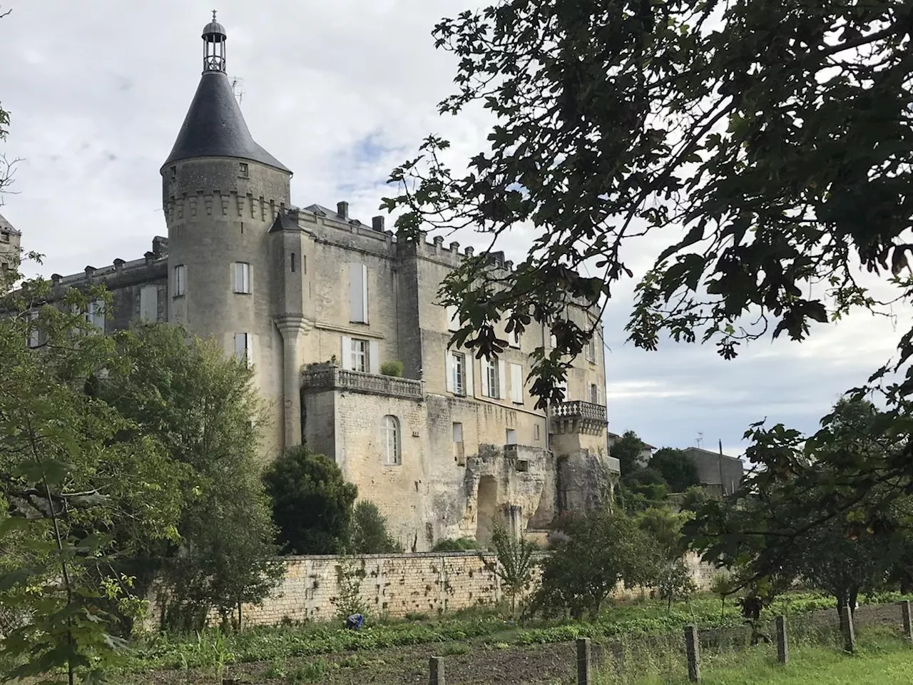 Vacances en Charente-Maritime : Entre nature et patrimoine à Jonzac