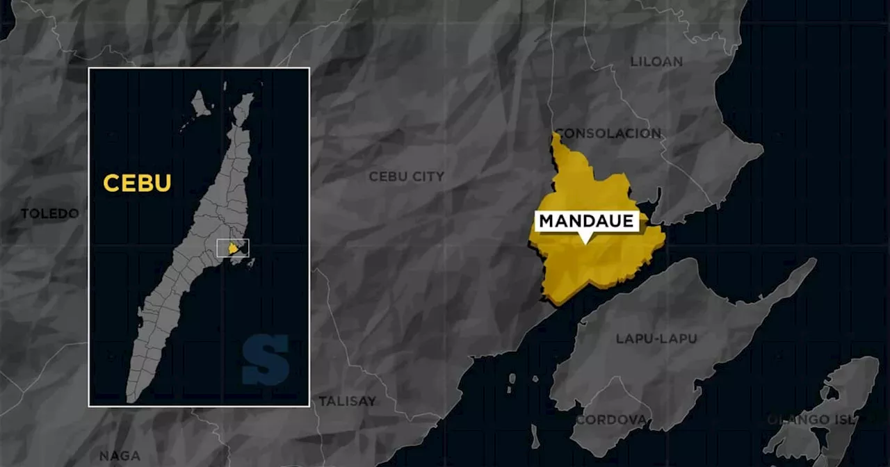 Police to meet with leaders of fraternities, teen gangs to ensure peace in Mandaue