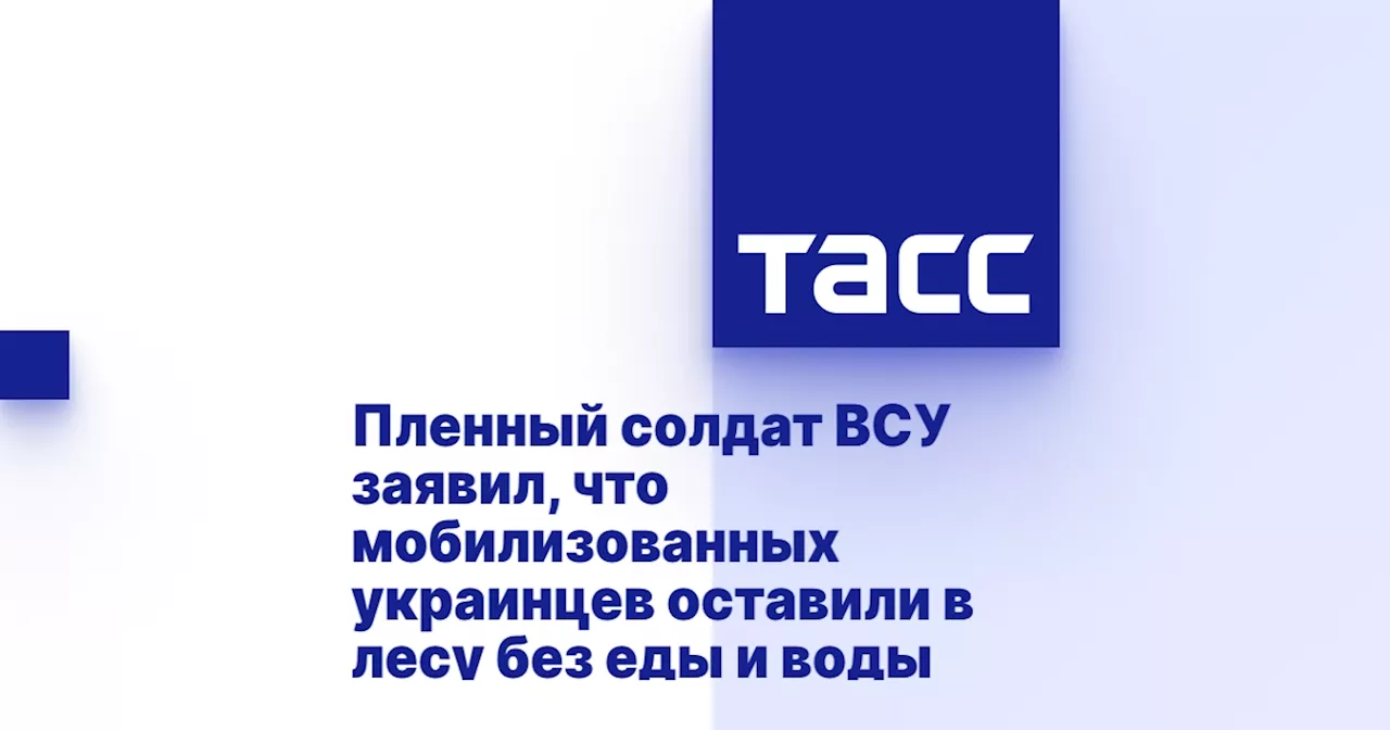 Пленный солдат ВСУ заявил, что мобилизованных украинцев оставили в лесу без еды и воды